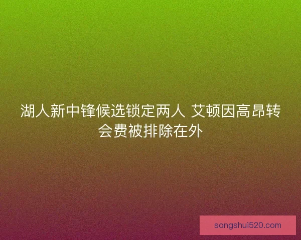 湖人新中锋候选锁定两人 艾顿因高昂转会费被排除在外